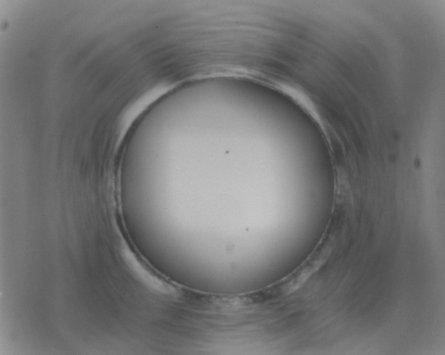 X0000076391003200610202100