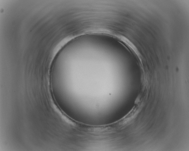 X0000076391005200610202059