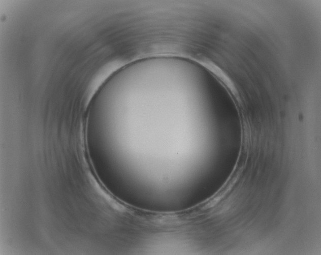 X0000076391006200610202059