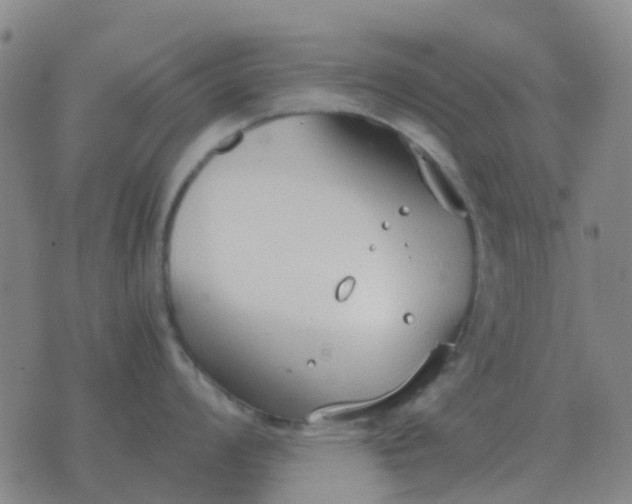 X0000076391008200610202059