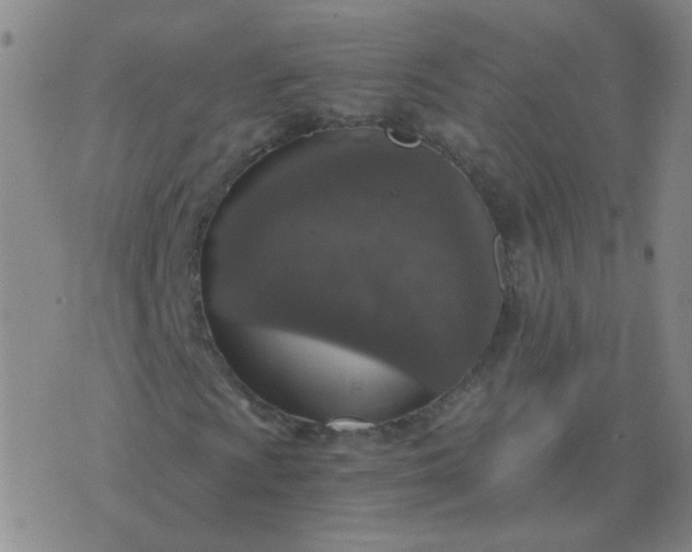 X0000076391009200610202059