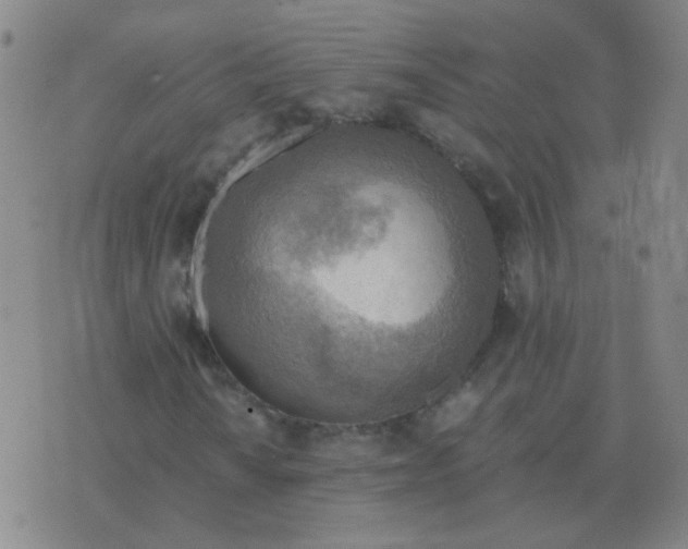 X0000076391010200610202059