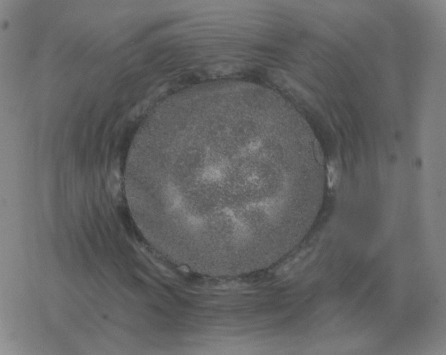 X0000076391011200610202059