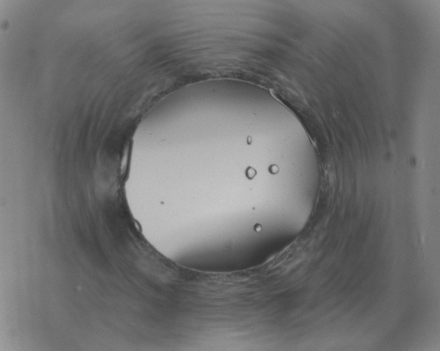 X0000076391012200610202059