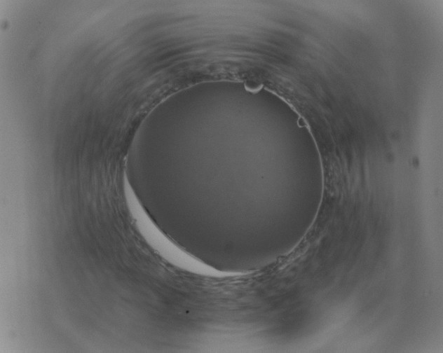 X0000076391013200610202059