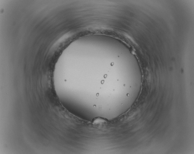 X0000076391016200610202059