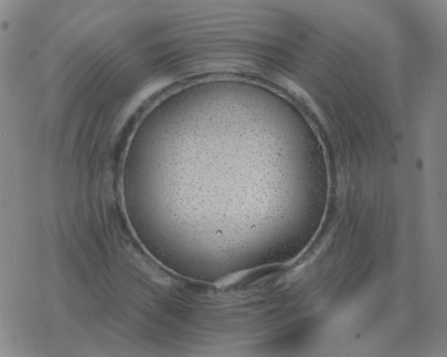 X0000076391019200610202059