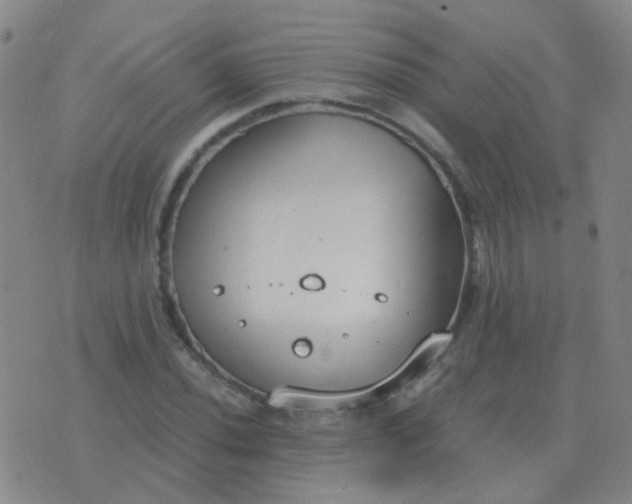 X0000076391020200610202059