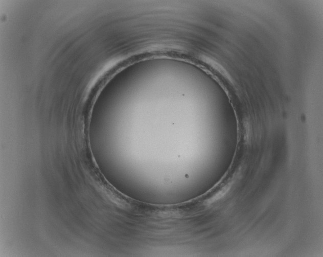 X0000076391021200610202059