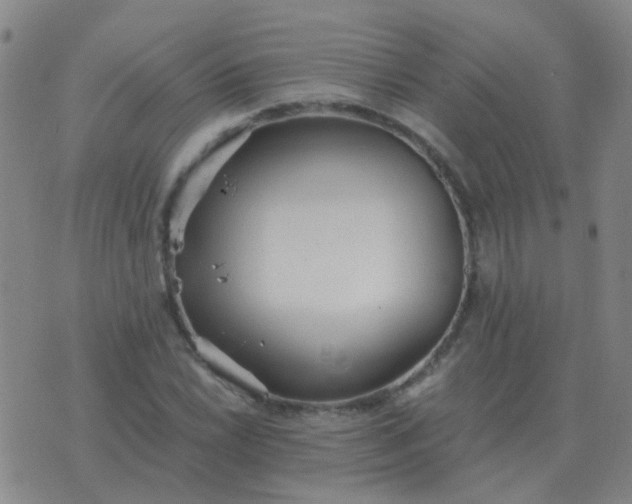 X0000076391022200610202059