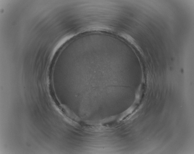 X0000076391024200610202059