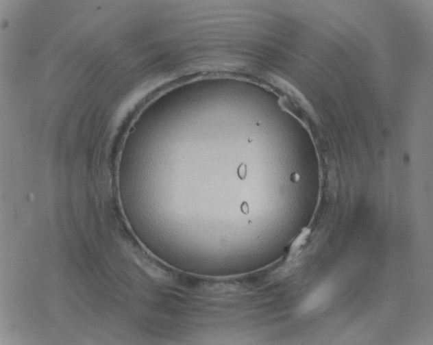 X0000076391027200610202059