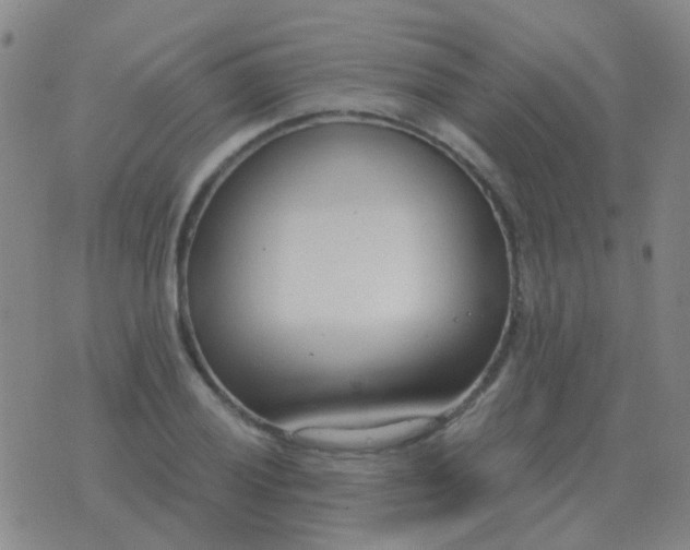 X0000076391028200610202059