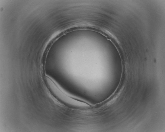 X0000076391029200610202059