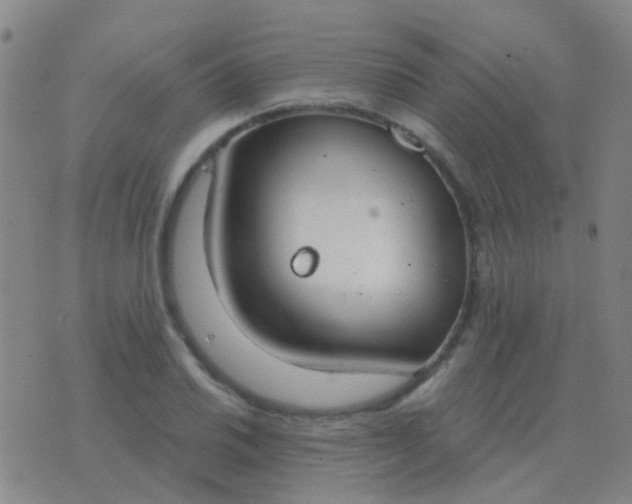 X0000076391030200610202059