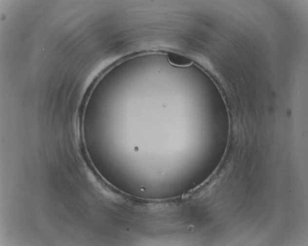 X0000076391032200610202059