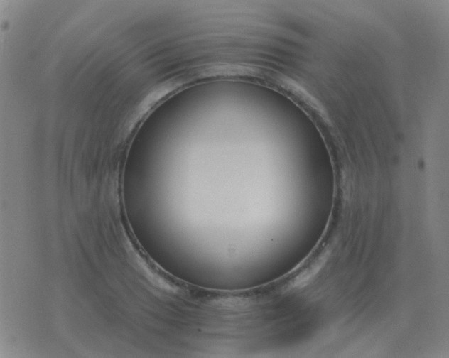 X0000076391033200610202059