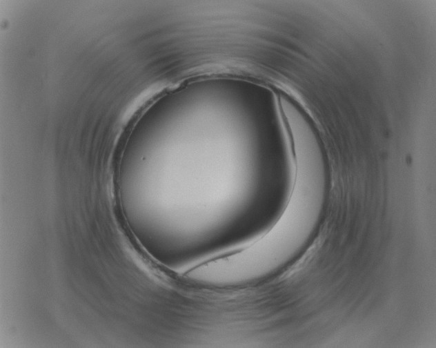 X0000076391034200610202059