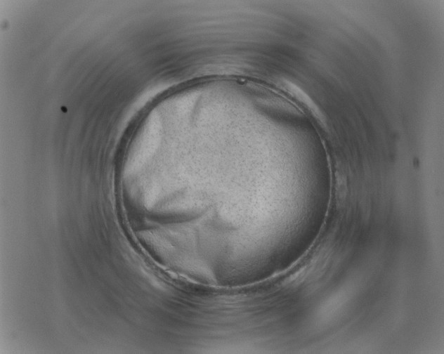 X0000076391035200610202059