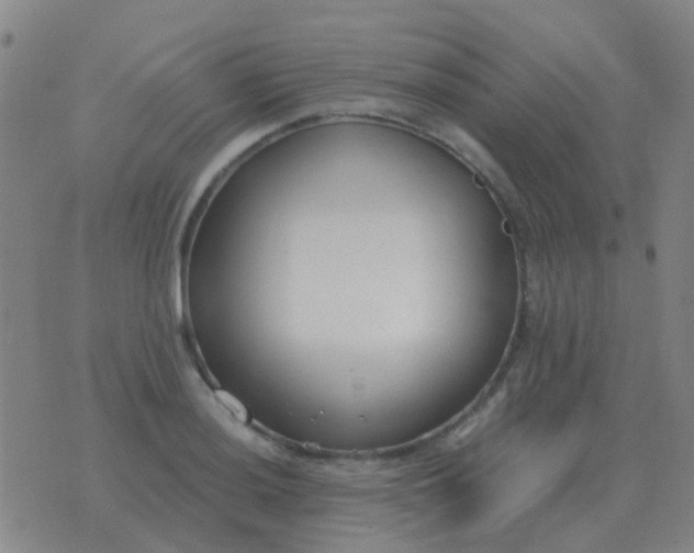 X0000076391036200610202059