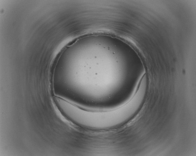 X0000076391038200610202059