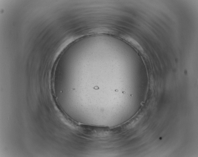 X0000076391039200610202059