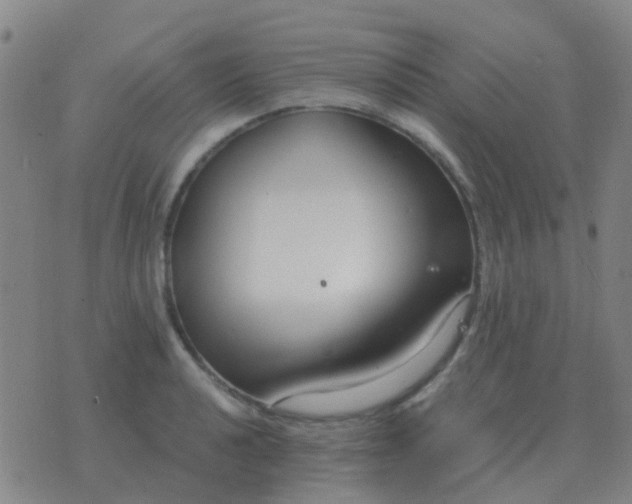 X0000076391040200610202059