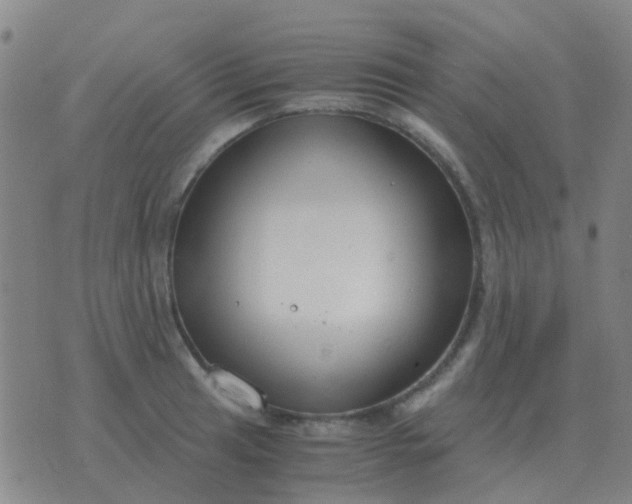 X0000076391041200610202059