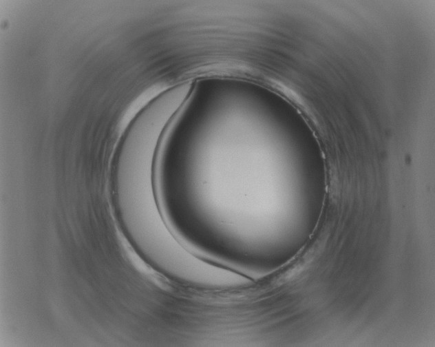 X0000076391042200610202059