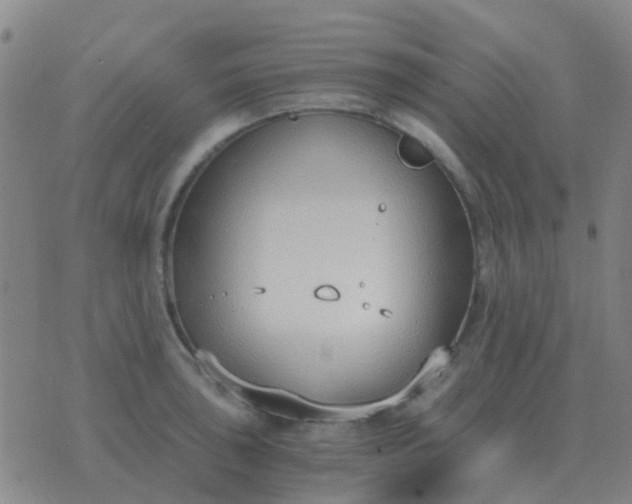 X0000076391043200610202059