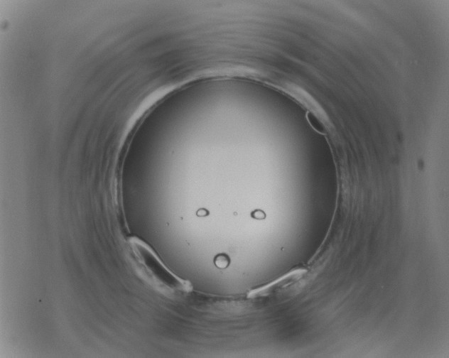 X0000076391044200610202059