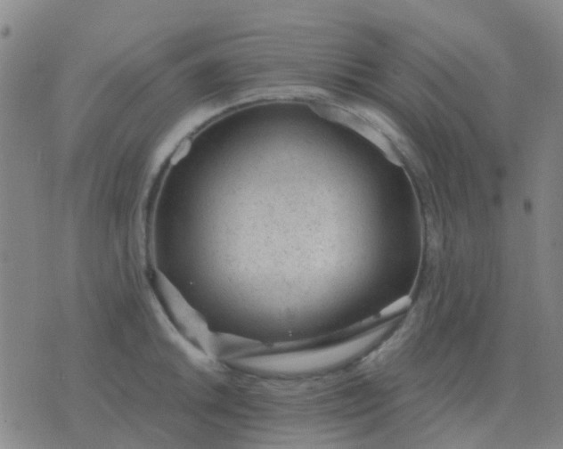 X0000076391046200610202059