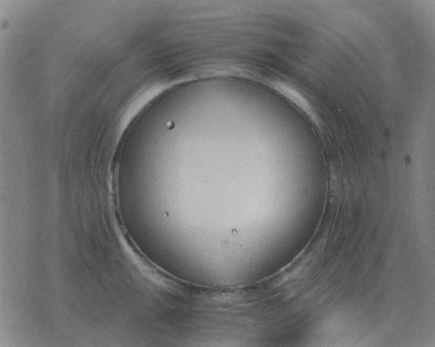 X0000076391047200610202059