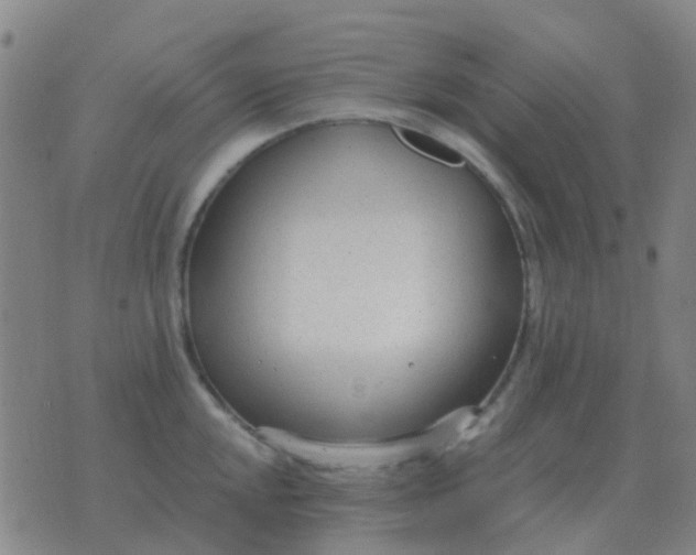 X0000076391048200610202059