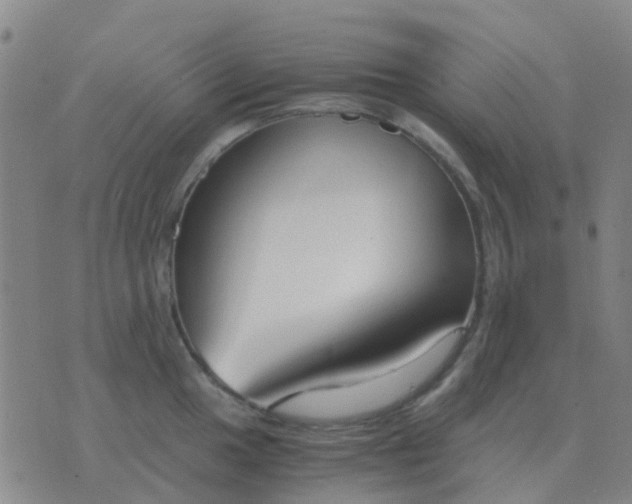 X0000076391049200610202059