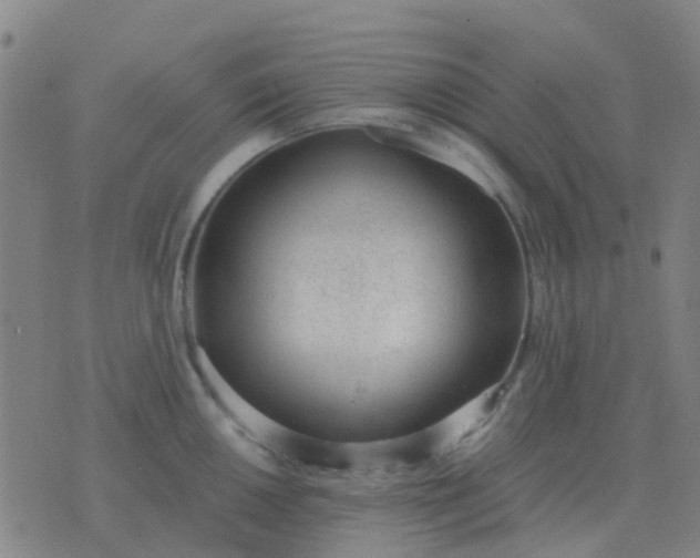 X0000076391050200610202059