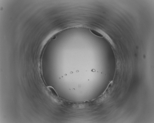 X0000076391051200610202059