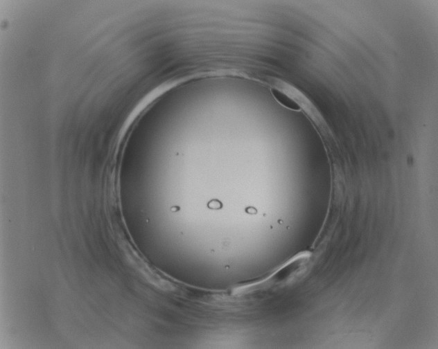 X0000076391052200610202059