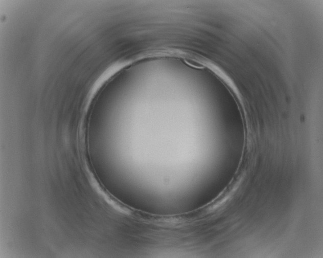 X0000076391053200610202059