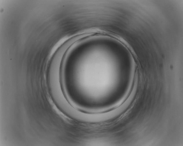 X0000076391054200610202059