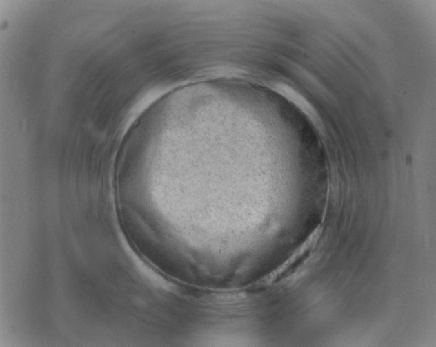 X0000076391055200610202059