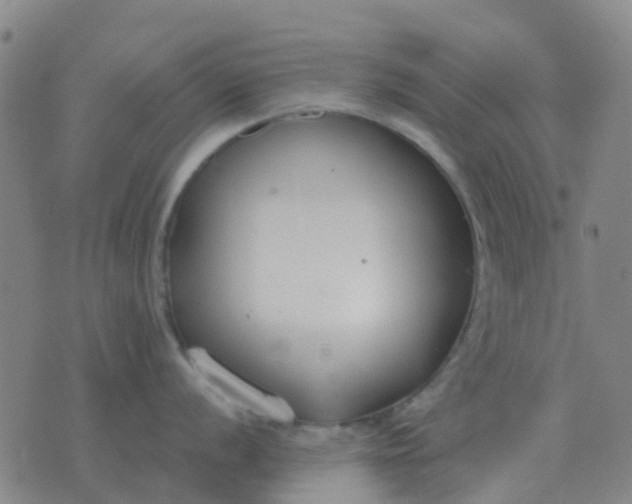 X0000076391056200610202059