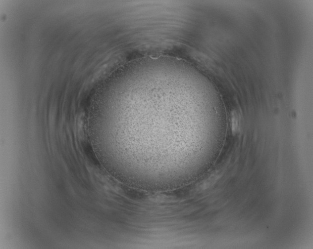 X0000076391059200610202059