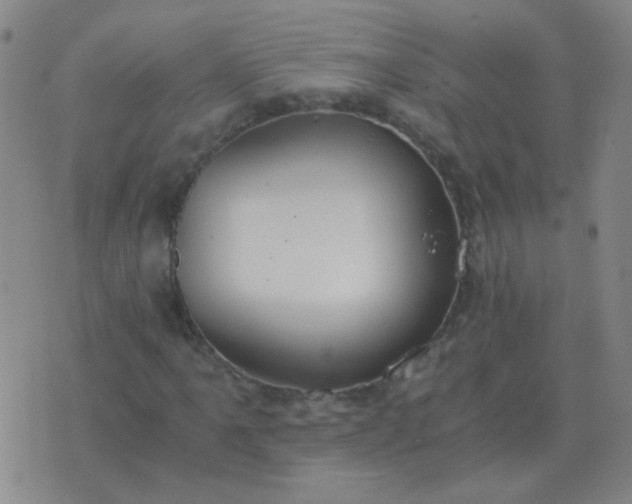 X0000076391061200610202059