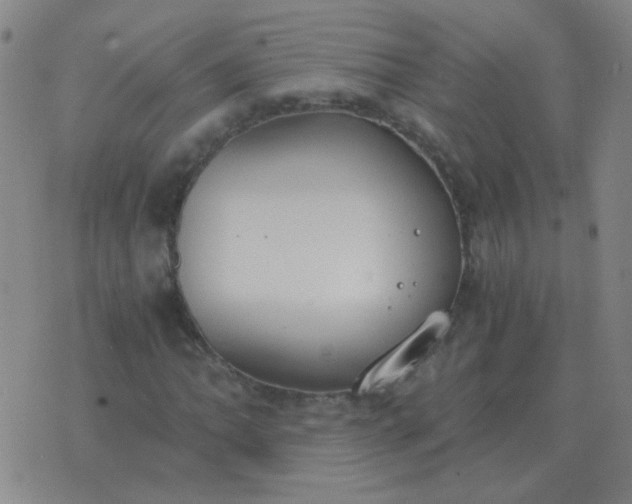 X0000076391062200610202059