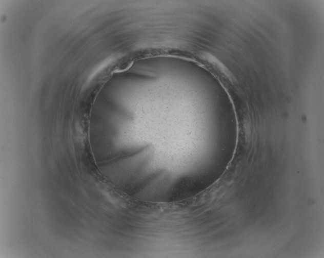 X0000076391064200610202059