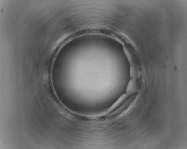 X0000076391065200610202058