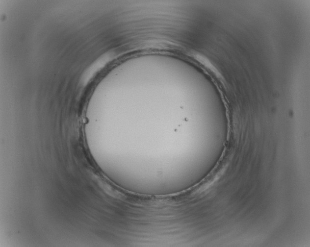 X0000076391067200610202058