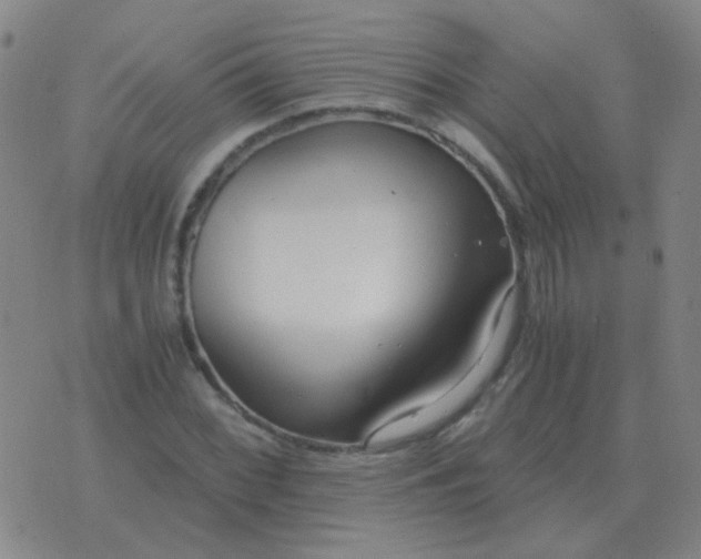 X0000076391068200610202058