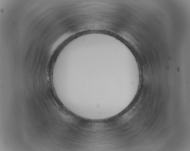 X0000076391070200610202058